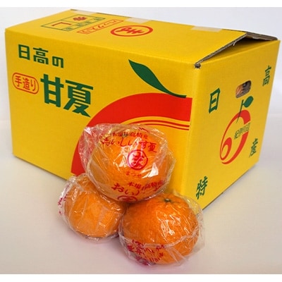 【2024年4月から順次発送】パック入り甘夏 10kg