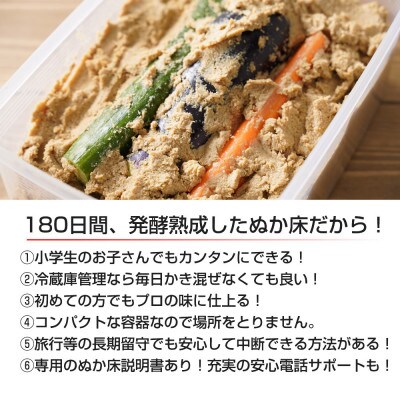 【ぬか床カンタンセット】ぬか漬け ぬか床セット 漬物 無添加(日高川町)