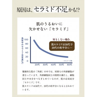 【お肌うるうる甘酒10パックセット】機能性表示食品 飲むセラミド キヌヒカリ 米こうじ (日高川町)