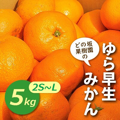 ゆら早生みかん5kg(2S～Lサイズ)