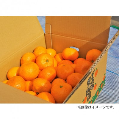 甘い!旨い!完熟早生みかん5kg(2S～Lサイズ)　/和歌山県日高川町産