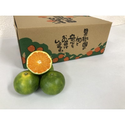 どの坂果樹園の「YN26」 3kg(2S～L)