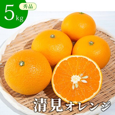 清見オレンジ秀品5kg