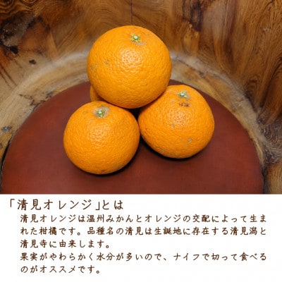 【熟成】清見オレンジ　秀品　5kg/和歌山県日高川町産　※温州みかん×オレンジ