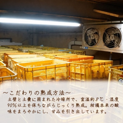 【熟成】清見オレンジ　秀品　5kg/和歌山県日高川町産　※温州みかん×オレンジ