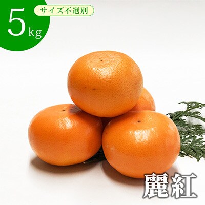 麗紅5kg【サイズ不選別】