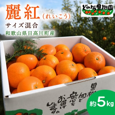 高級柑橘「麗紅」5kg【サイズ不選別】芳醇な香りと贅沢な果汁が溢れ出す!/どの坂果樹園