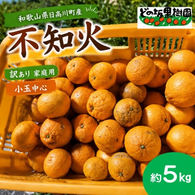 【貯蔵熟成】不知火 約5kg(家庭用・ワケあり・小玉中心)　どの坂果樹園/和歌山県日高川町産