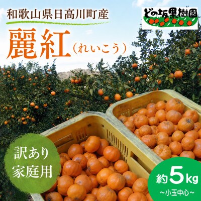 高級柑橘「麗紅」5kg(家庭用・ワケあり・小玉中心)芳醇な香りと贅沢な果汁が溢れ出す!/どの坂果樹園