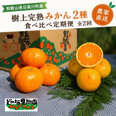【発送月固定定期便】甘い!樹上完熟みかん2種　食べ比べ定期便　和歌山県日高川町　各5kg全2回