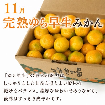 【発送月固定定期便】甘い!樹上完熟みかん2種　食べ比べ定期便　和歌山県日高川町　各5kg全2回