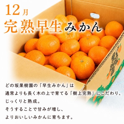 【発送月固定定期便】甘い!樹上完熟みかん2種　食べ比べ定期便　和歌山県日高川町　各5kg全2回