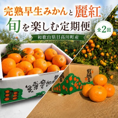 【発送月固定定期便】完熟早生みかん(12月)・高級柑橘 麗紅(2月)各5kg/どの坂果樹園全2回
