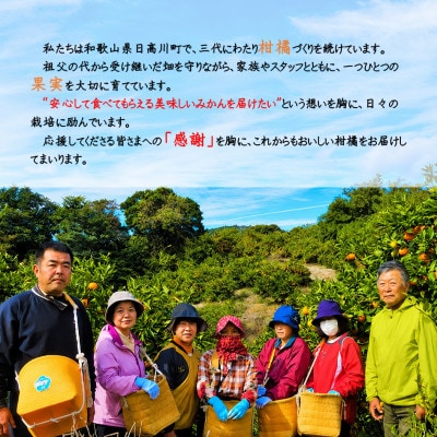 【発送月固定定期便】完熟早生みかん(12月)・高級柑橘 麗紅(2月)各5kg/どの坂果樹園全2回