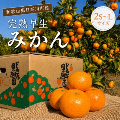 【発送月固定定期便】完熟早生みかん(12月)・高級柑橘 麗紅(2月)各5kg/どの坂果樹園全2回