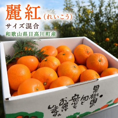 【発送月固定定期便】完熟早生みかん(12月)・高級柑橘 麗紅(2月)各5kg/どの坂果樹園全2回