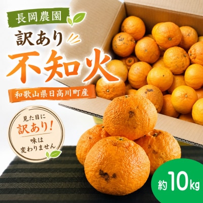 【訳あり】熟成　不知火(しらぬい)約10kg(サイズ混合S～L)/和歌山県日高川町産