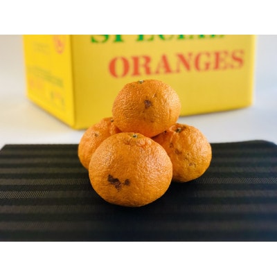 【訳あり】熟成　不知火(しらぬい)約10kg(サイズ混合S～L)/和歌山県日高川町産