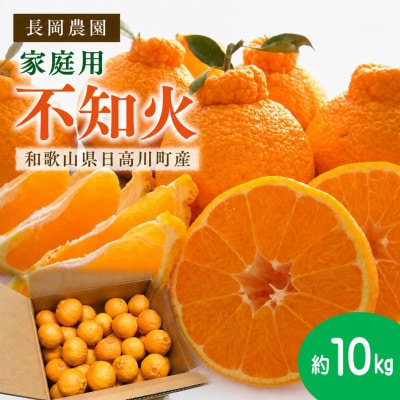 【家庭用】熟成　不知火(しらぬい)約10kg(サイズ混合S〜L)/和歌山県日高川町産