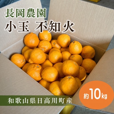 小玉 不知火(しらぬい)約10kg/和歌山県日高川町産