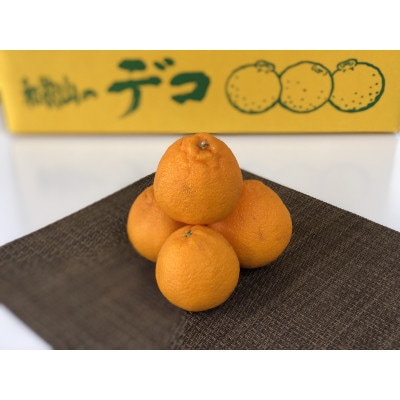 小玉 不知火(しらぬい)約10kg/和歌山県日高川町産