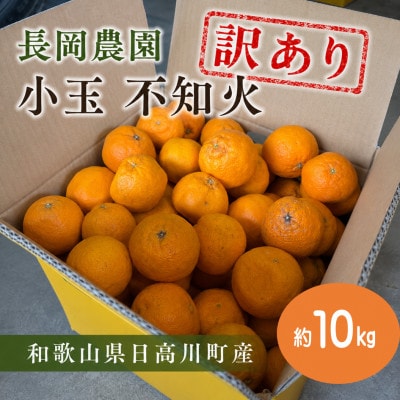 【訳あり】小玉 不知火(しらぬい)  約10kg/和歌山県日高川町産