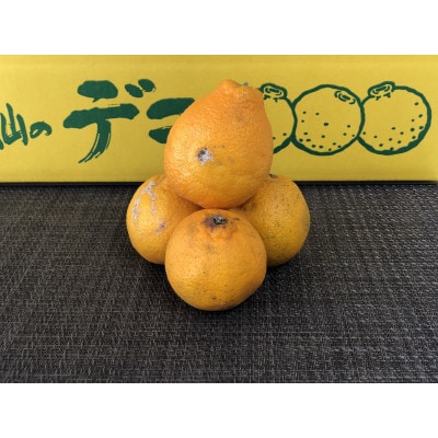 【訳あり】小玉 不知火(しらぬい)  約10kg/和歌山県日高川町産