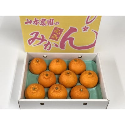 高級 不知火 化粧箱入り【3kg 9玉】