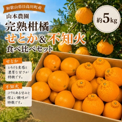 完熟柑橘「せとか&不知火」食べ比べセット 約5kg　和歌山県日高川町産/みかん