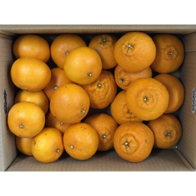 完熟柑橘「せとか&不知火」食べ比べセット 約5kg　和歌山県日高川町産/みかん