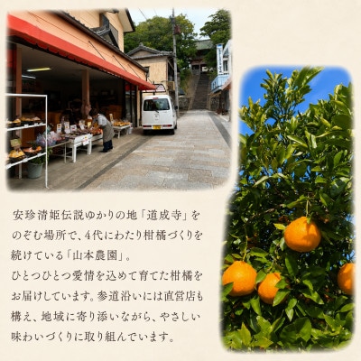 爽やかな酸味!木なり完熟　甘夏　約6kg　和歌山県日高川町産/みかん