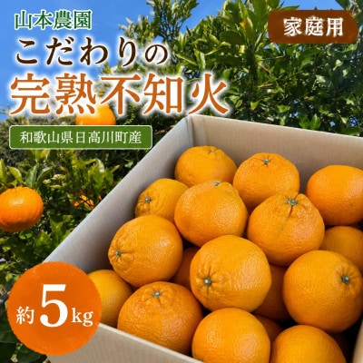 【家庭用】こだわりの完熟不知火(しらぬい)約5kg　和歌山県日高川町産/みかん