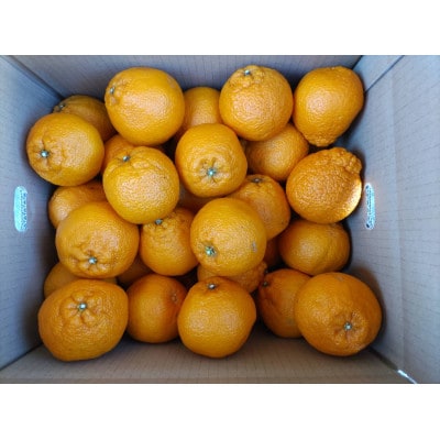【家庭用】こだわりの完熟不知火(しらぬい)約5kg　和歌山県日高川町産/みかん