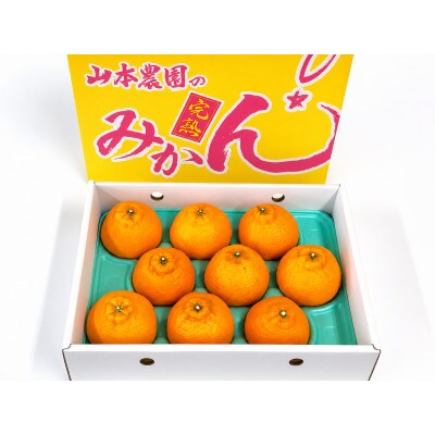 こだわりの完熟不知火(しらぬい)【化粧箱入り】8～10玉入り約3kg　和歌山県日高川町産