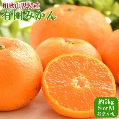 [秀品]和歌山有田みかん約5kg(SサイズまたはMサイズのいずれかをお届け)(日高川町)