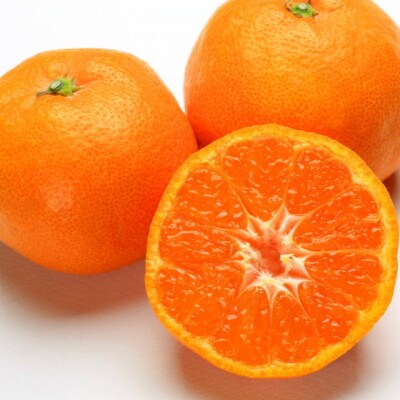 【濃厚・まろやか】有田産樹上越冬完熟みかん約5kg(L~2Lサイズ混合・秀品)(日高川町)