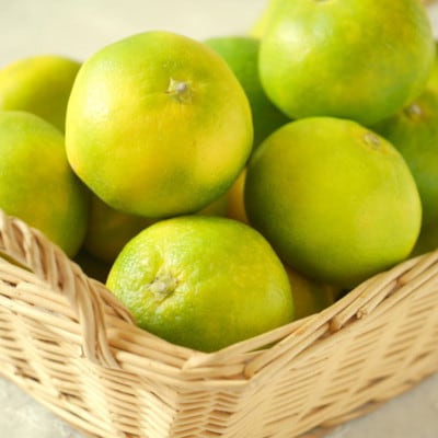 【極早生みかんの逸品】有田産ゆら早生みかん 約5kg(日高川町)