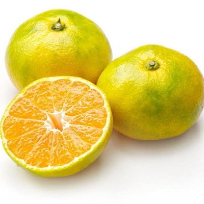 【極早生みかんの逸品】有田産ゆら早生みかん 約5kg(日高川町)