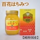【純粋国産】和歌山県産百花はちみつ約600g(日高川町)
