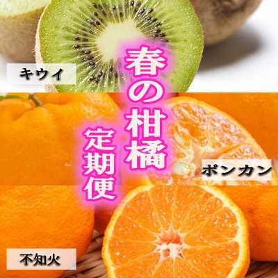 【発送月固定定期便】和歌山の春のフルーツ(キウイ・ポンカン・不知火)全3回