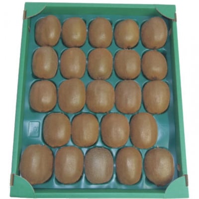 和歌山の下津で採れたキウイフルーツ約3.6kg(玉数おまかせ・秀品)(日高川町)