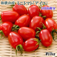 【2023年5月出荷分】和歌山産ミニトマト「アイコトマト」約2kg(S・Mサイズおまかせ)日高川町