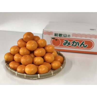 みかん(宮川早生)5kg　SSサイズ