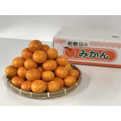 みかん(宮川早生)10kg　SSサイズ