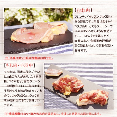 【和歌山県日高川町産】 ほろほろ鳥のBBQセット逢母の塩付(1～2人前)