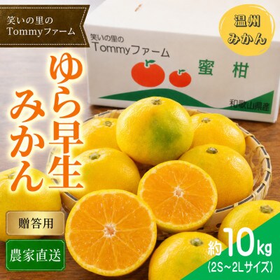 10月中旬から発送【贈答用・秀品】ゆら早生みかん 10kg(2S～2L)