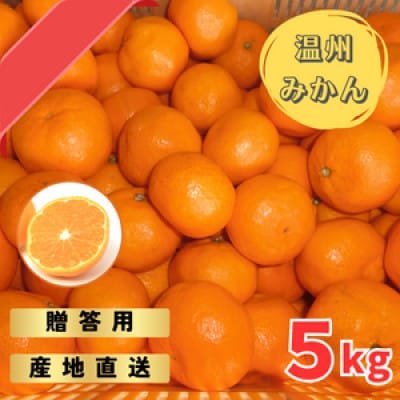 宮川早生みかん贈答用秀品5kg箱入り　2S～2Lサイズ