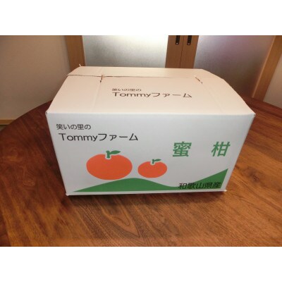 11月下旬から発送【贈答用・秀品】宮川早生みかん 10kg(2S～2L)