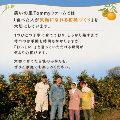 【2027年3月より順次発送】完熟 木なり八朔 贈答用 秀品 約10kg(M～3Lサイズ)