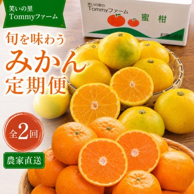 【発送月固定定期便】【2026年10月・12月発送】旬を味わうみかん定期便(各5kg)全2回